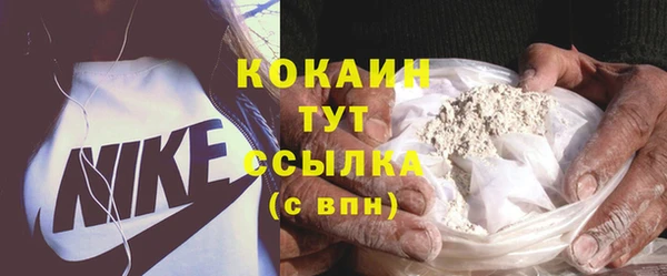 индика Арсеньев