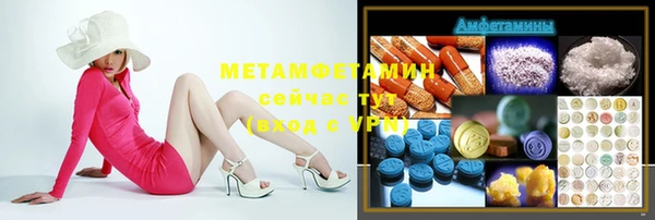 индика Арсеньев