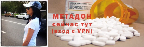 индика Арсеньев