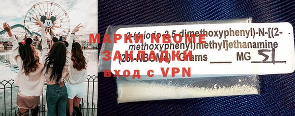индика Арсеньев
