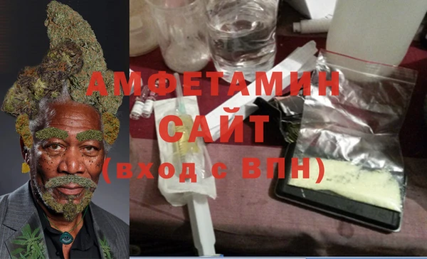 индика Арсеньев
