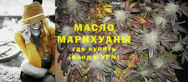 индика Арсеньев