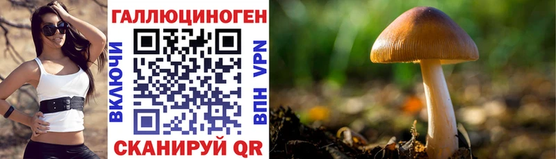 купить закладку  Нововоронеж  Галлюциногенные грибы мицелий 